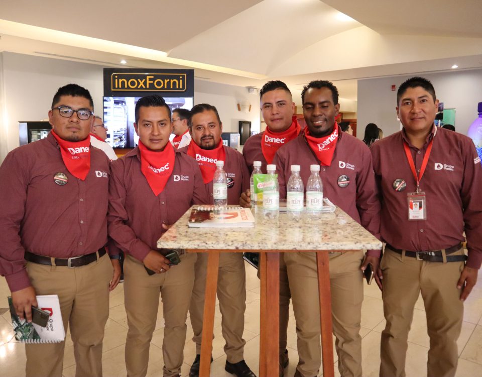 linea-experto-5