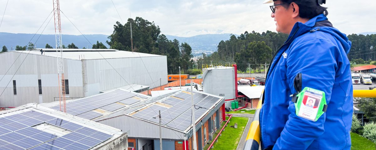 paneles-solares-primera-fase-foto2