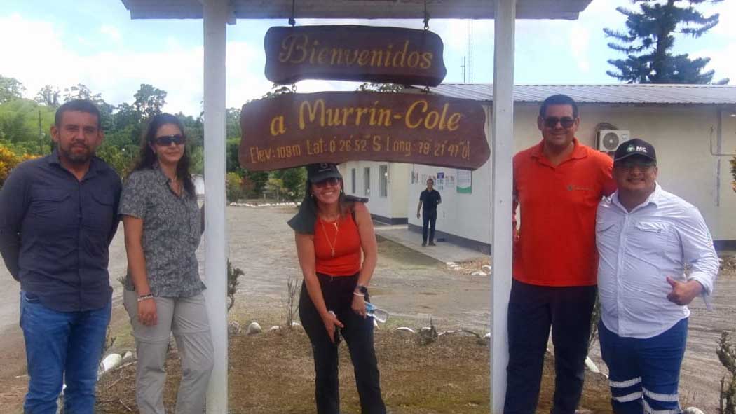 murrin-semillas-2